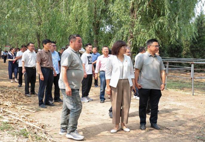 6d8d7de874a39e53df3b4c0393cfd17